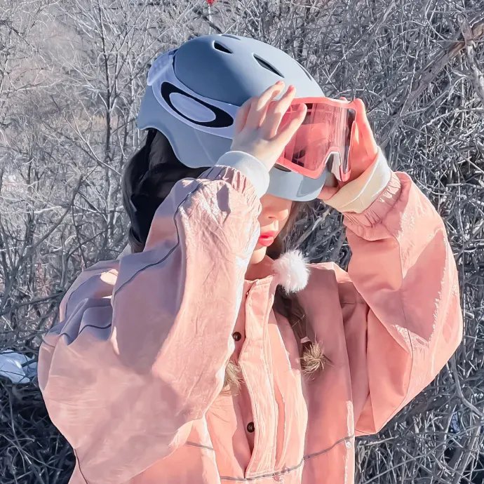 多伦多法律与秩序：犯罪倾向